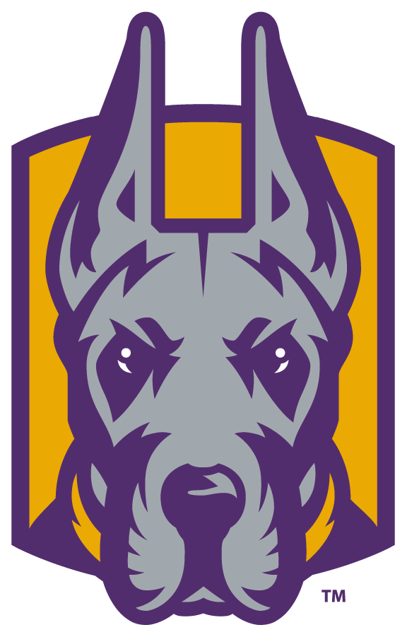 Albany Great Danes 2020-Pres Alternate Logo v3 iron on transfers for clothing